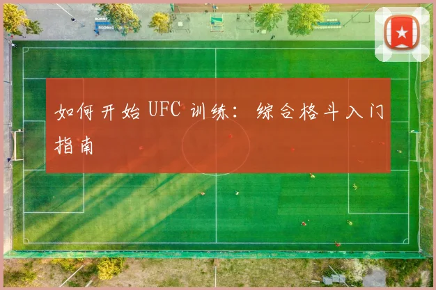 如何开始 UFC 训练：综合格斗入门指南