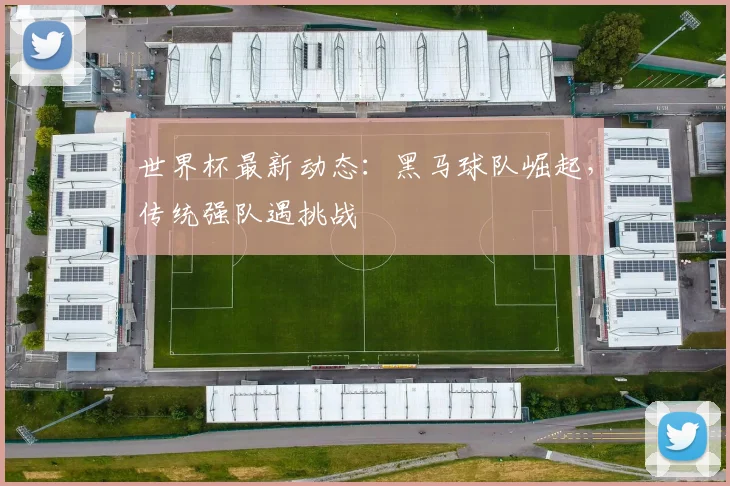 世界杯最新动态:黑马球队崛起,传统强队遇挑战